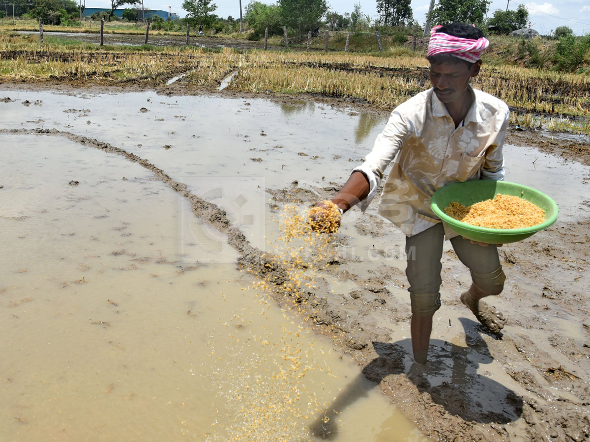 Best Photos of The Week in AP and Telangana Photo Gallery17