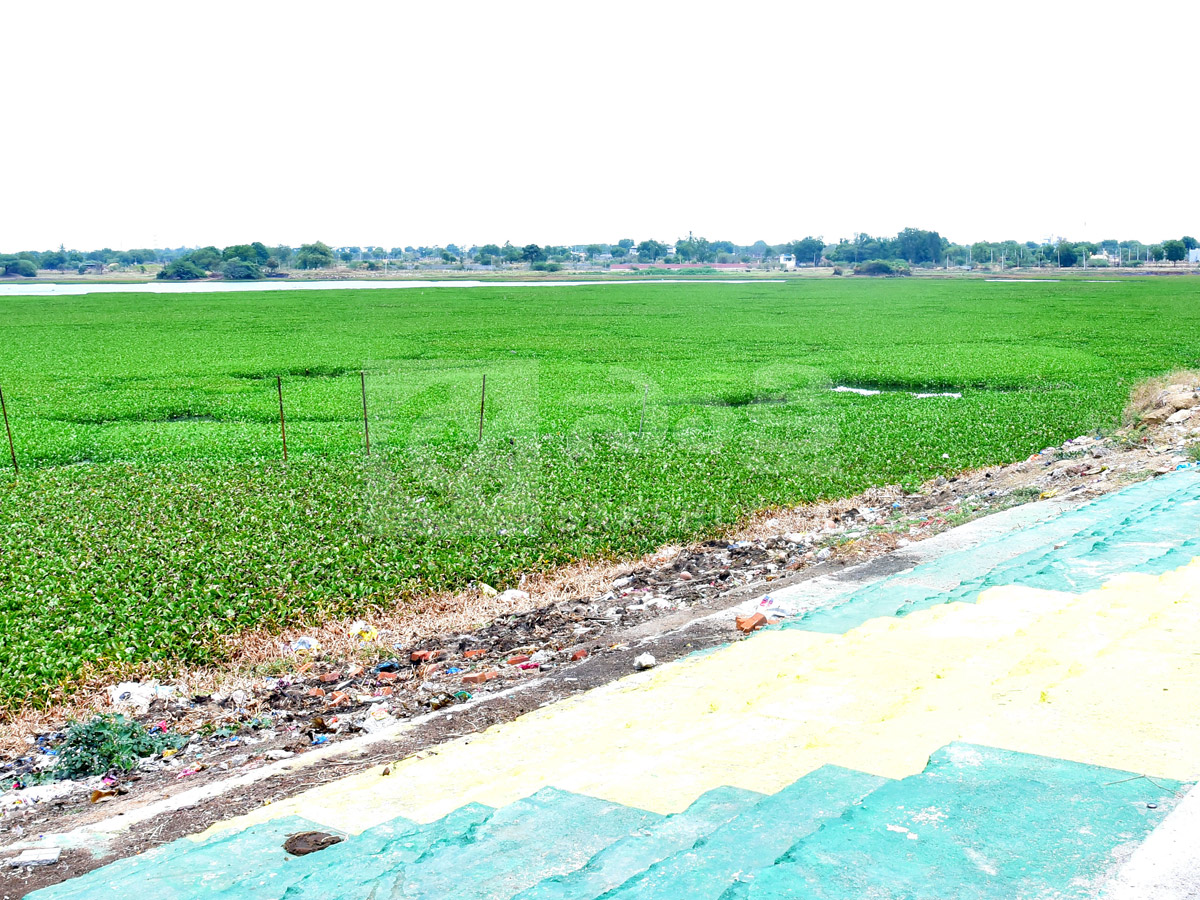 Best Photos of The Week in AP and Telangana Photo Gallery18