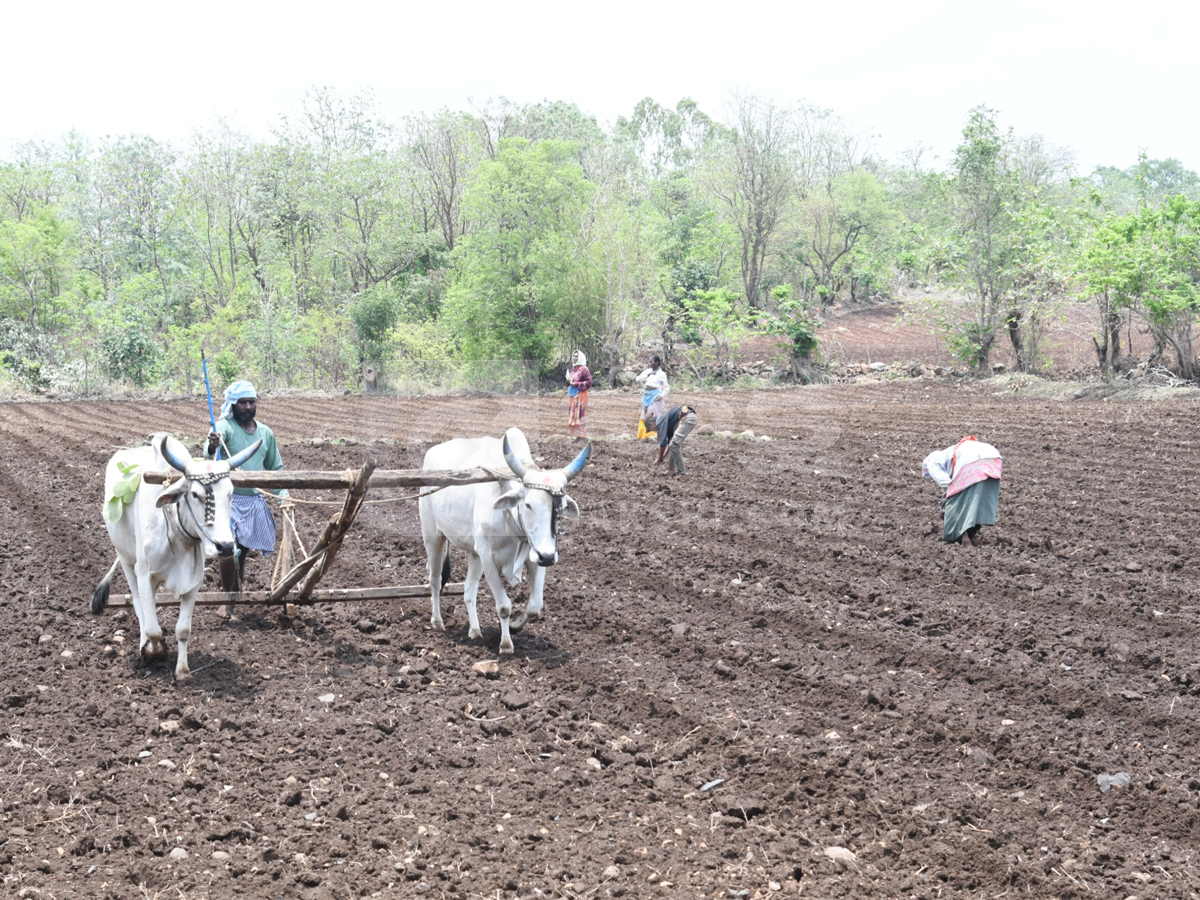 Best Photos of The Week in AP and Telangana Photo Gallery3