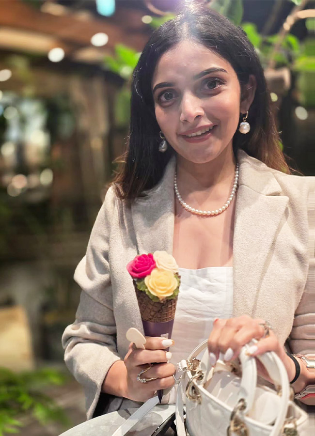Hero Naga Shaurya Enjoys a Japan Tour with His Wife Photos2
