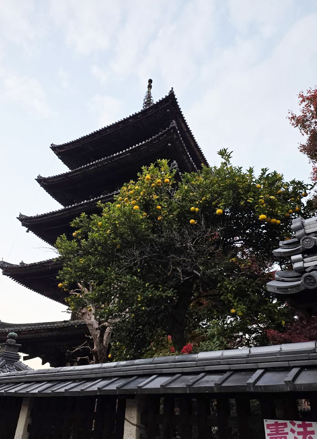 Hero Naga Shaurya Enjoys a Japan Tour with His Wife Photos7