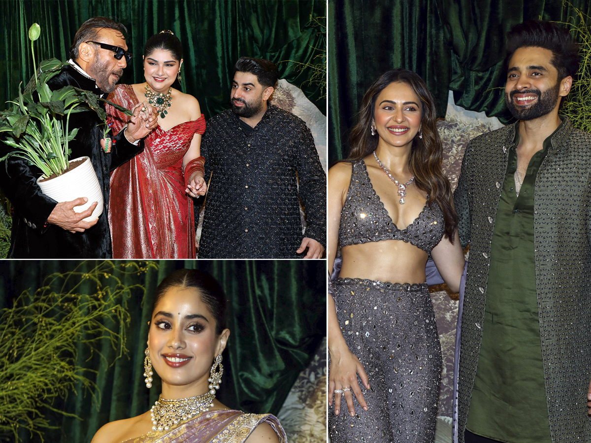 Boney Kapoor Daughter Anshula Kapoor Wedding Reception Viral Photos1