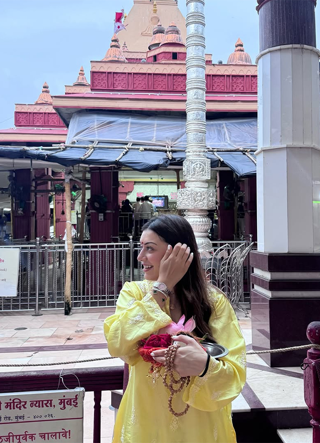 Hansika Motwani birthday celebration viral photos3