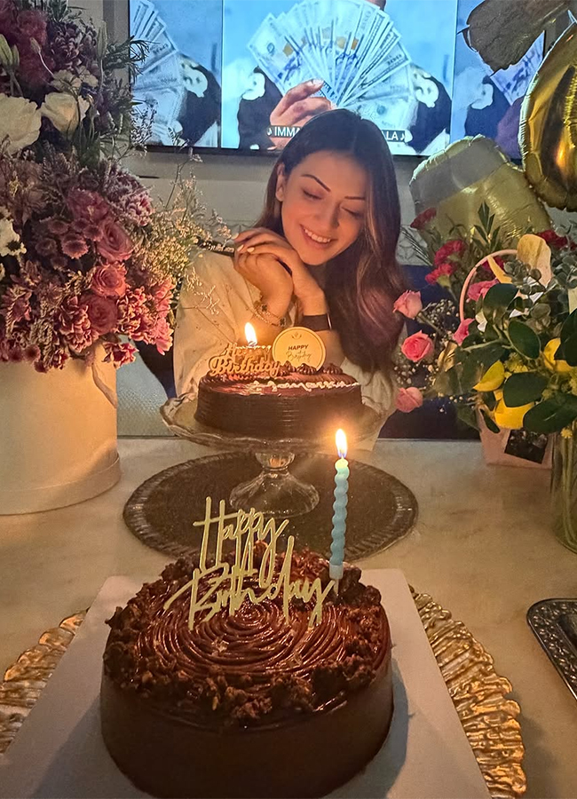 Hansika Motwani birthday celebration viral photos4