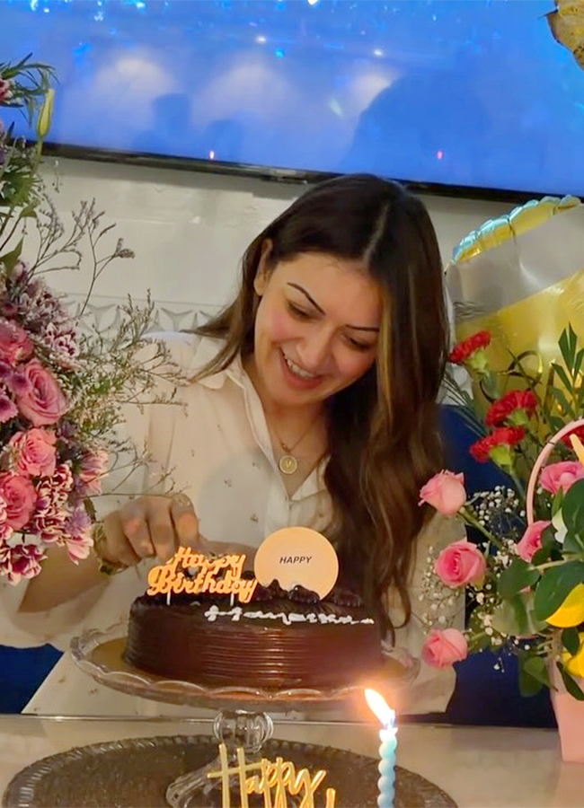 Hansika Motwani birthday celebration viral photos8