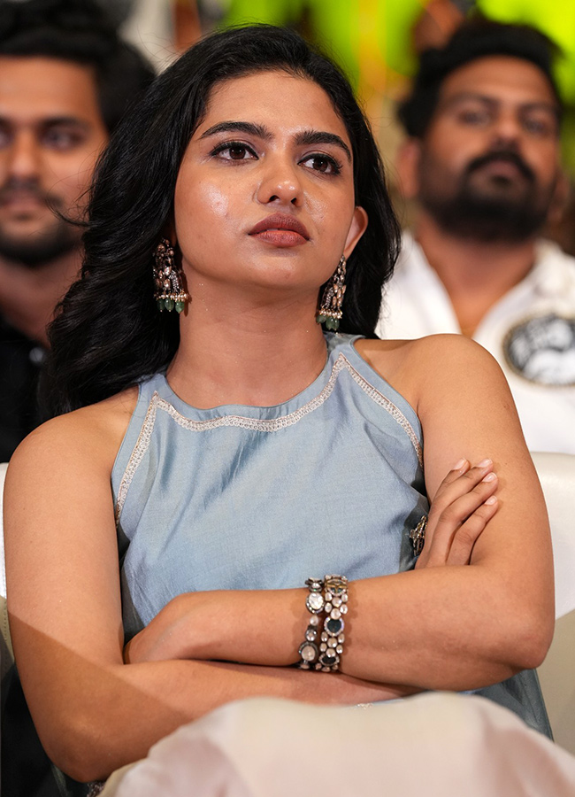 Vishwanath and Sons Movie Pre Release Event HD Photos19