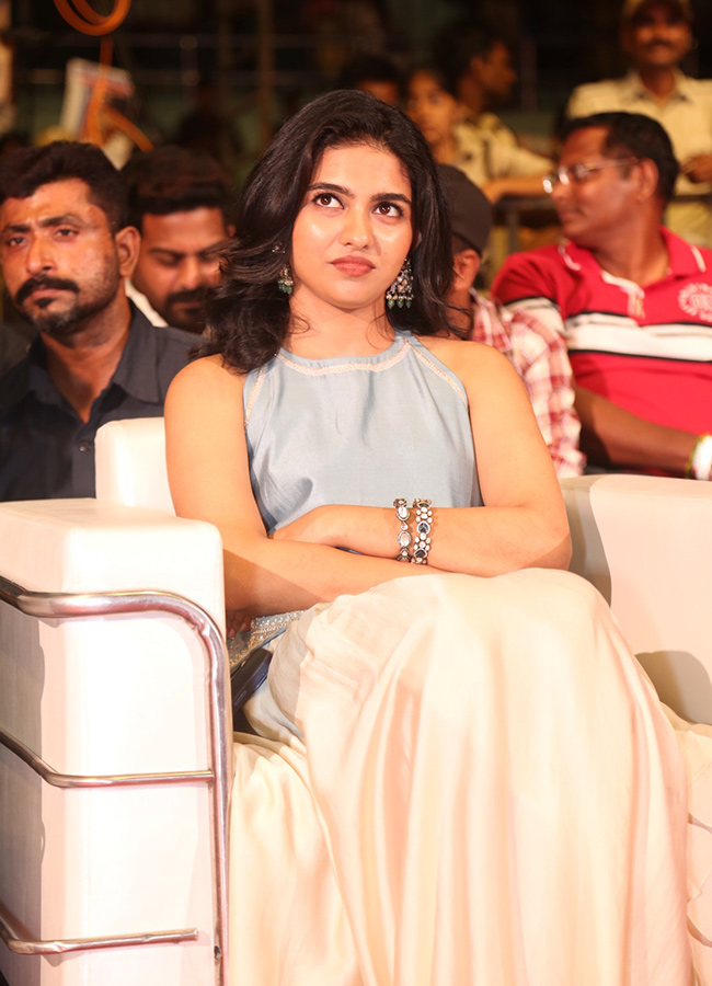 Vishwanath and Sons Movie Pre Release Event HD Photos20