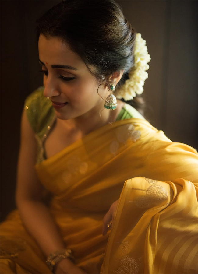 Actress Trisha Krishnan Yellow Saree Viral Photos4
