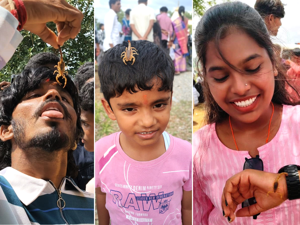 Teella Panchami in Kandukuru Mahabubnagar HD Photos1
