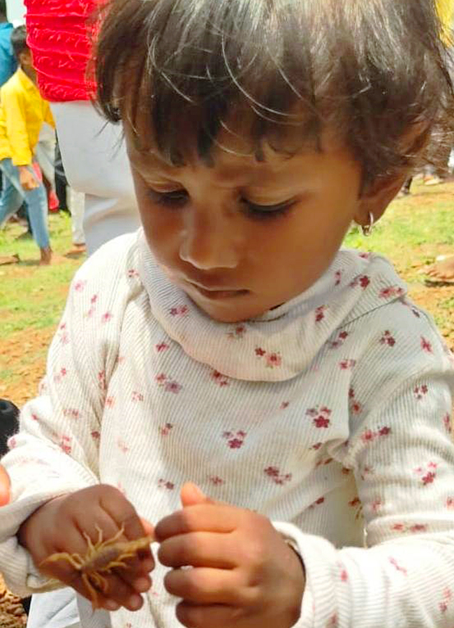 Teella Panchami in Kandukuru Mahabubnagar HD Photos26