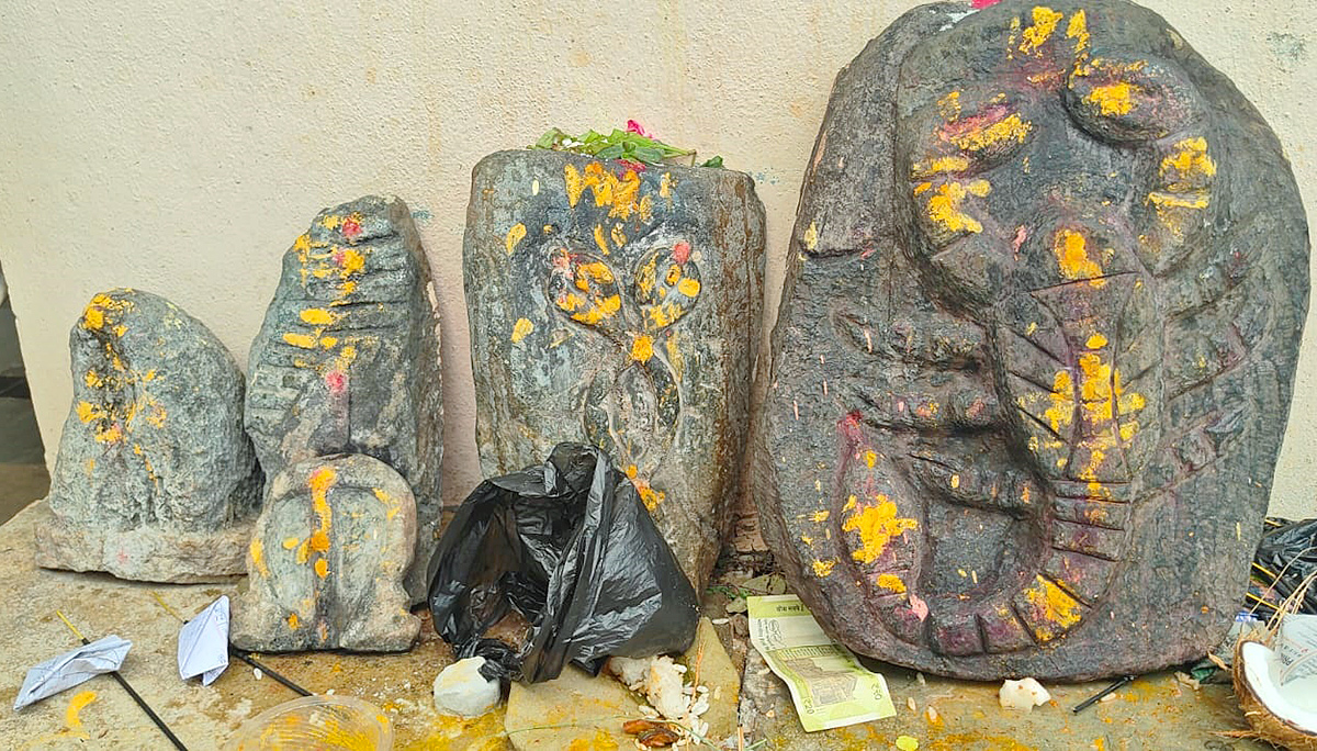 Teella Panchami in Kandukuru Mahabubnagar HD Photos29