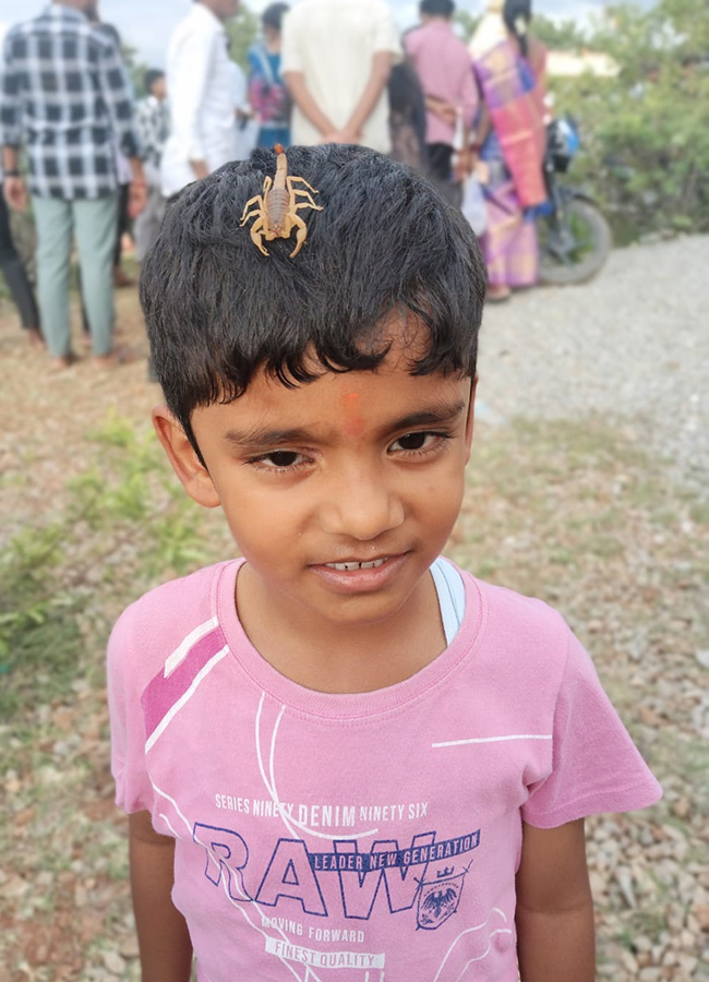Teella Panchami in Kandukuru Mahabubnagar HD Photos32