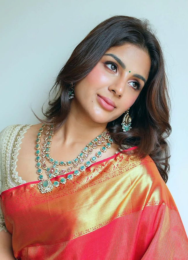 Samyuktha Looks Stunning in a Saree Photos12