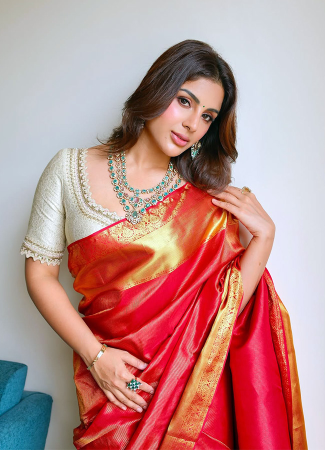 Samyuktha Looks Stunning in a Saree Photos2