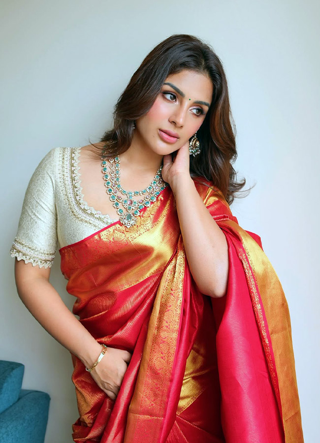 Samyuktha Looks Stunning in a Saree Photos4