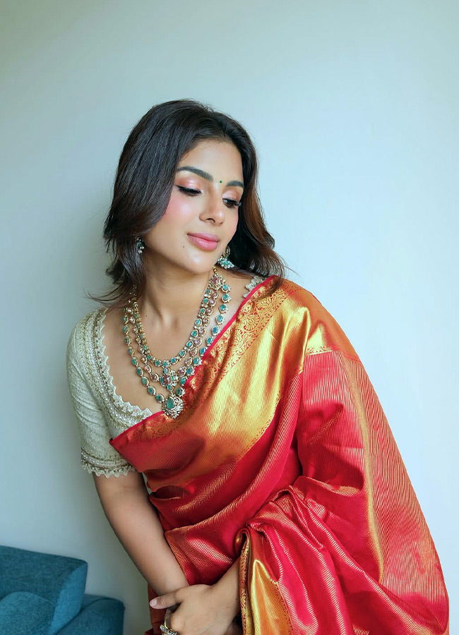 Samyuktha Looks Stunning in a Saree Photos5