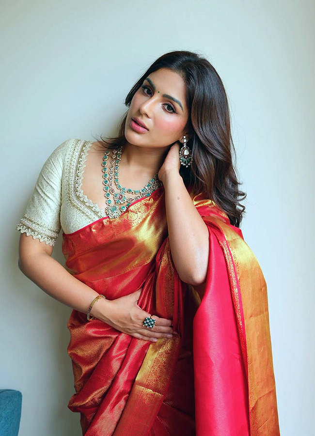 Samyuktha Looks Stunning in a Saree Photos6