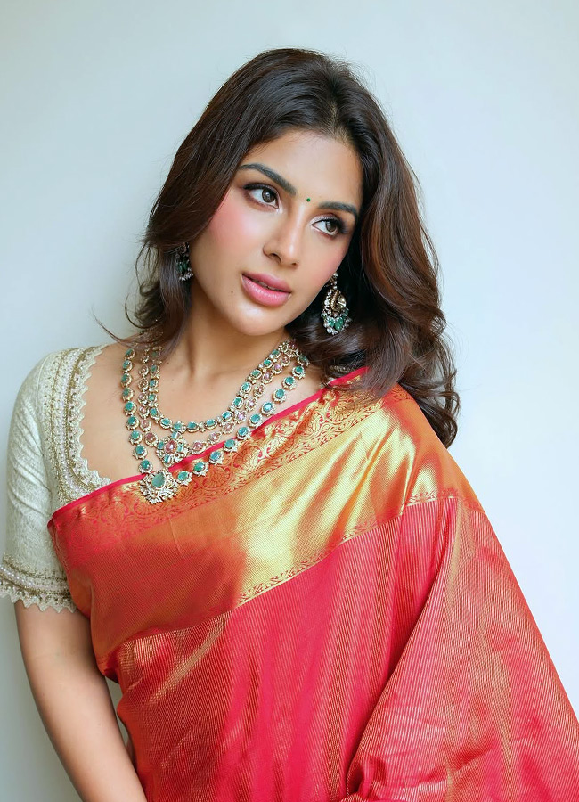 Samyuktha Looks Stunning in a Saree Photos7