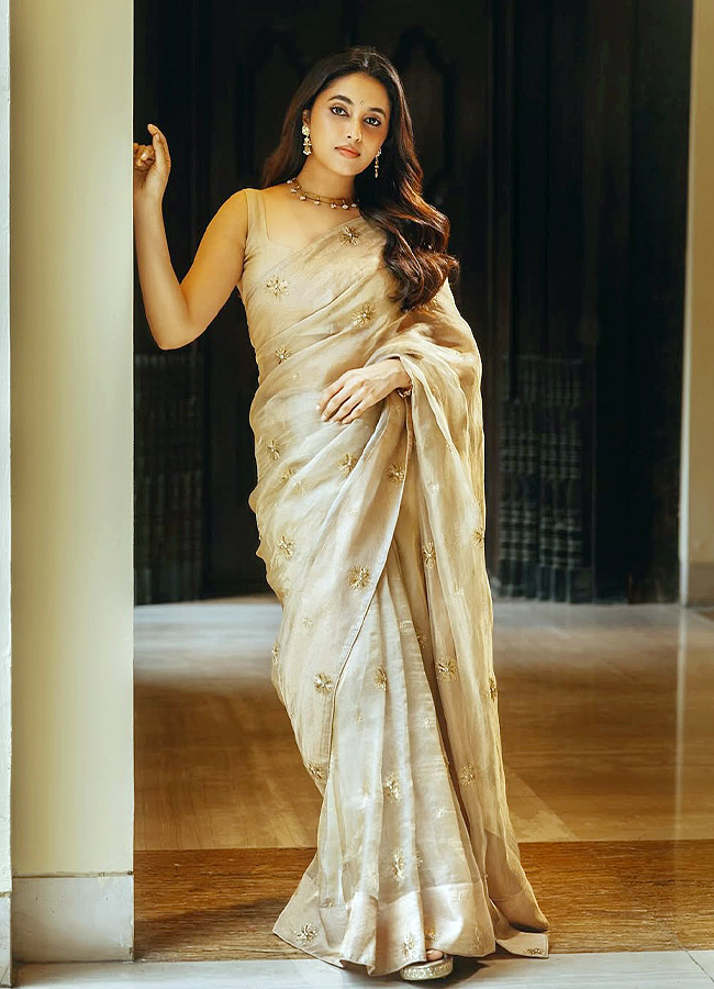 Priyanka Arul Mohan Looks Even More Beautiful in a Saree Photos9