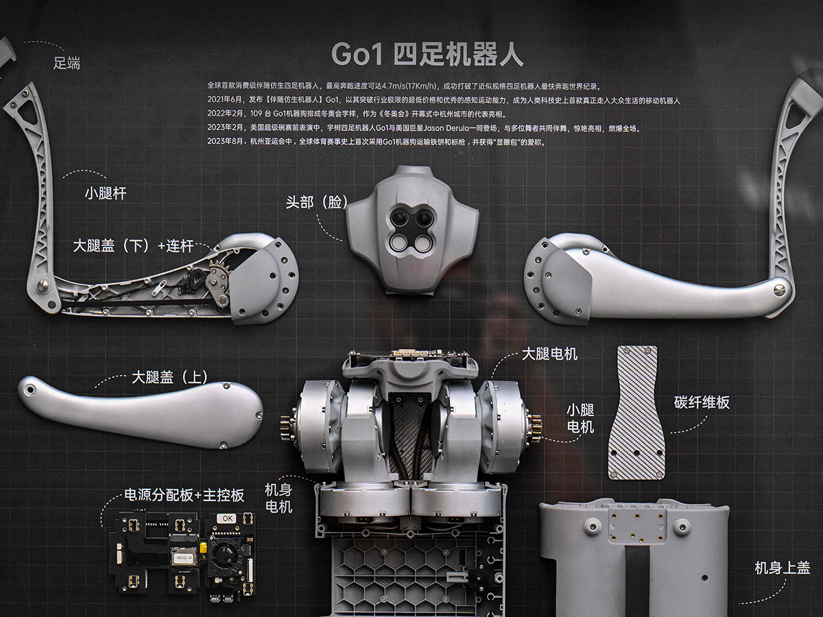 World Robot Conference at Exhibition Centre in Beijing14