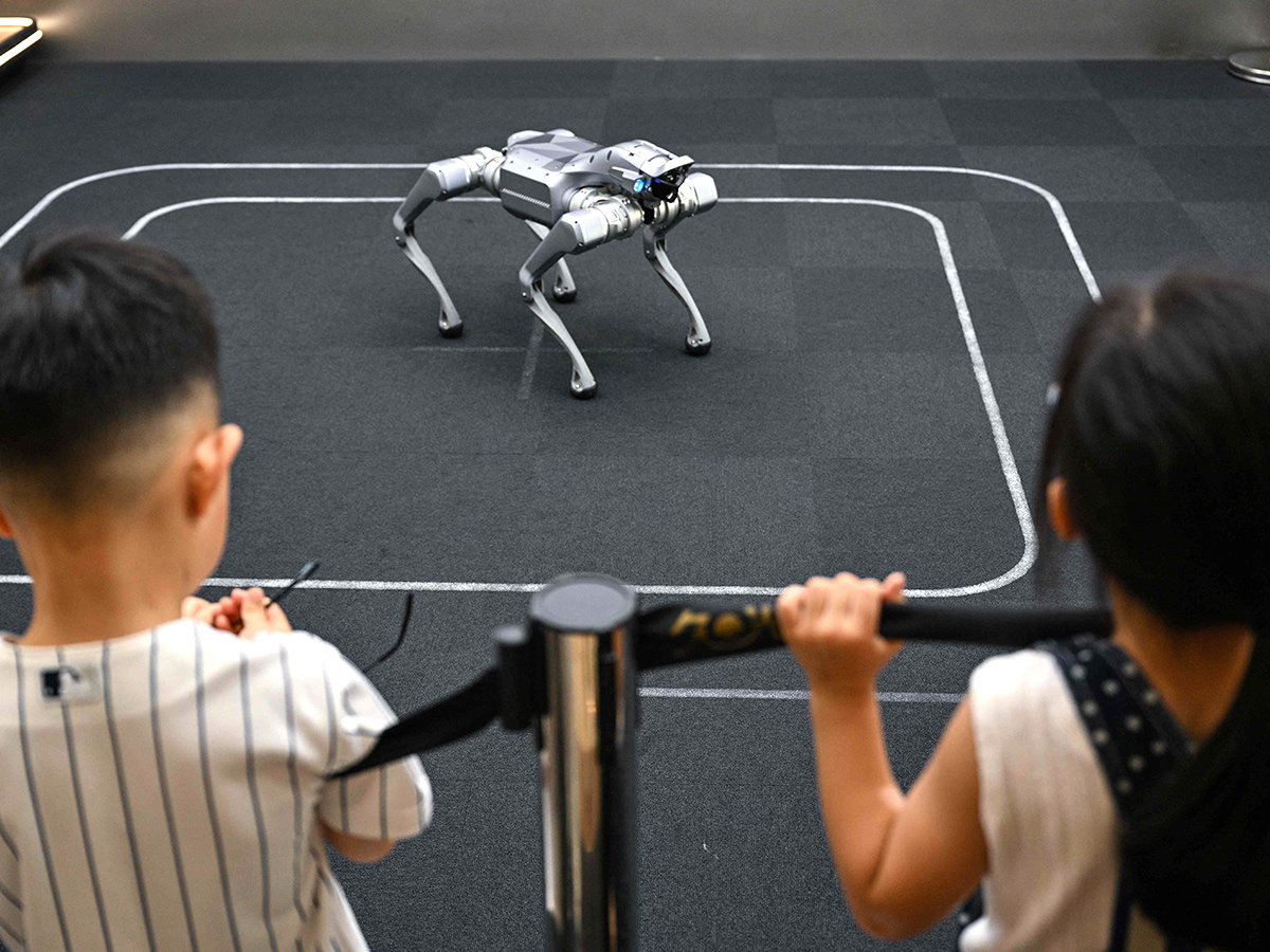 World Robot Conference at Exhibition Centre in Beijing23