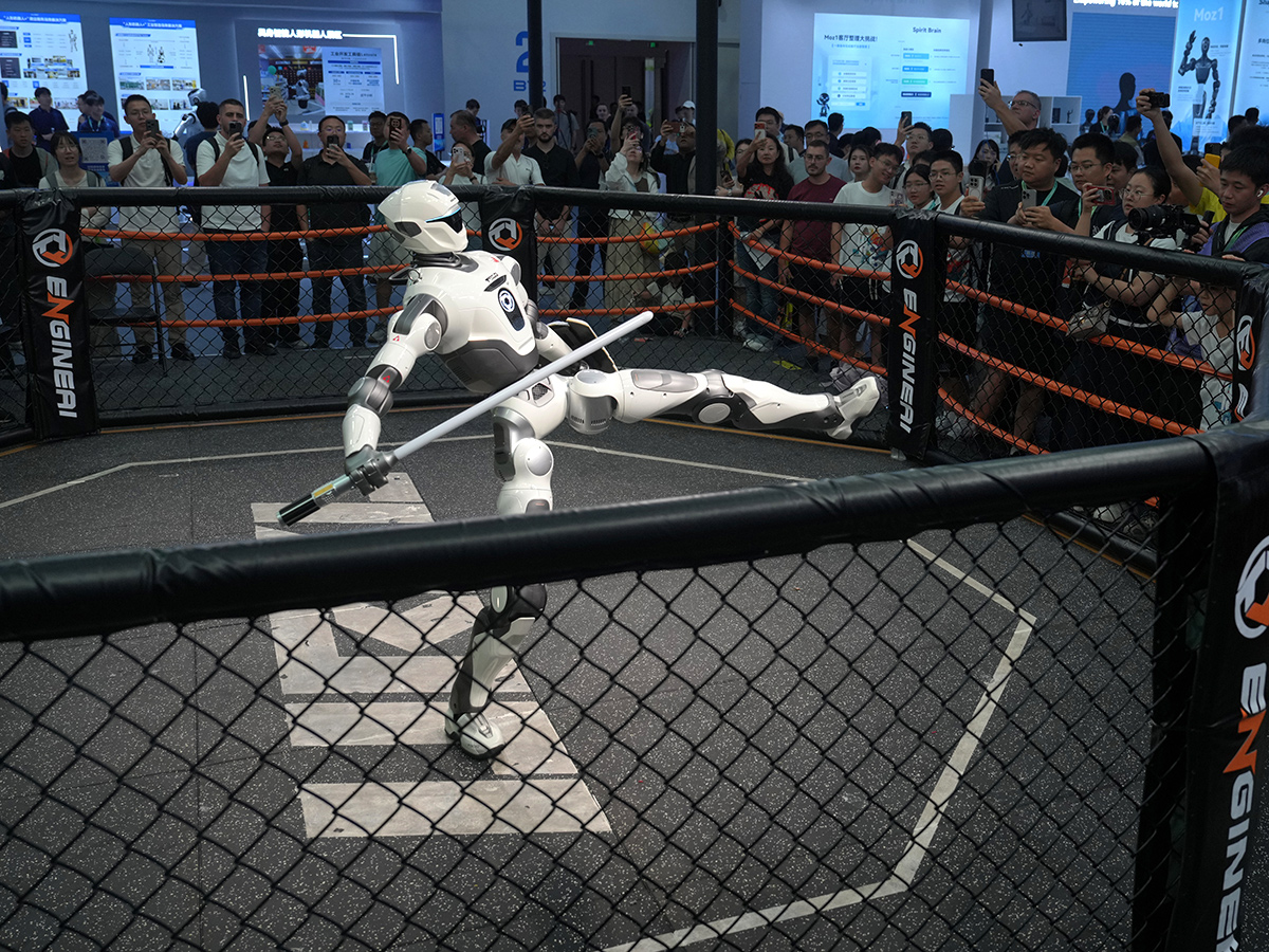 World Robot Conference at Exhibition Centre in Beijing29