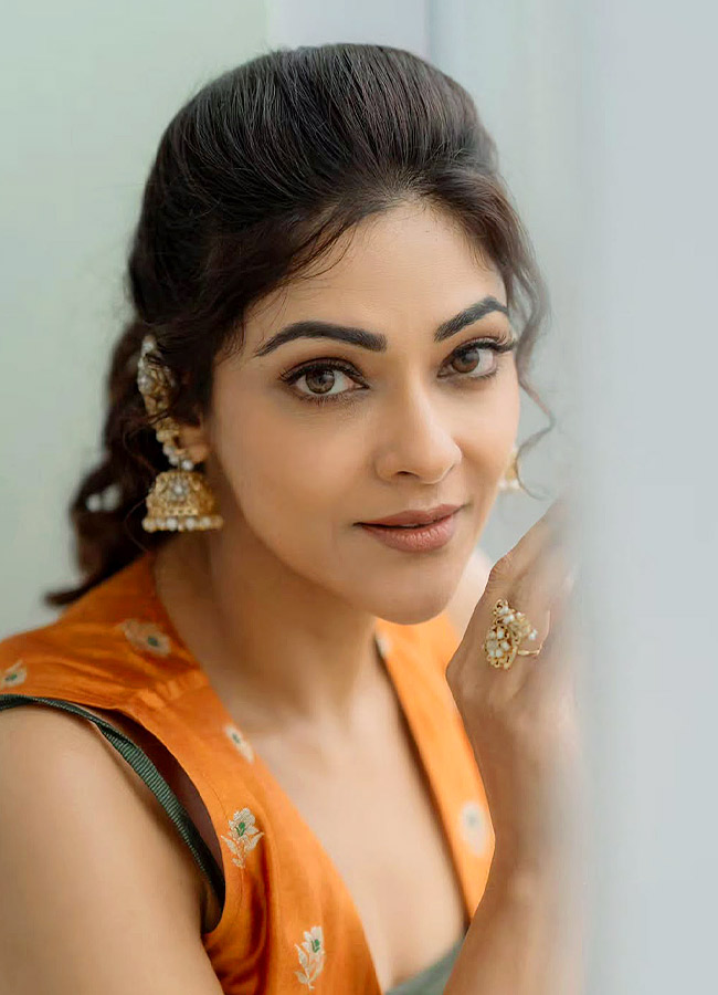 Malayalam Beauty Abhirami Stuns in a Beautiful Dress Photos2