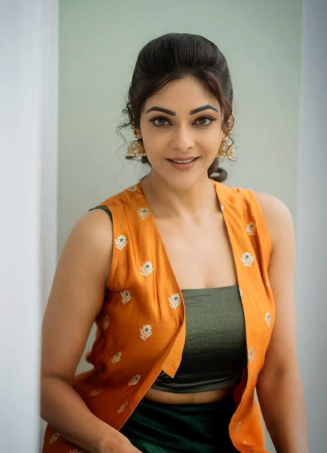 Malayalam Beauty Abhirami Stuns in a Beautiful Dress Photos6
