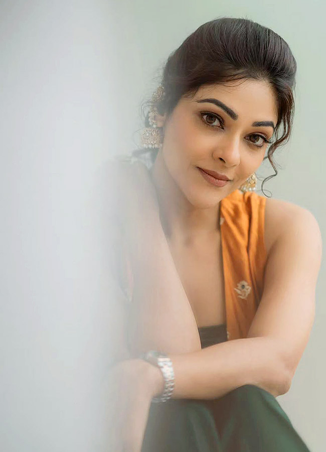 Malayalam Beauty Abhirami Stuns in a Beautiful Dress Photos7
