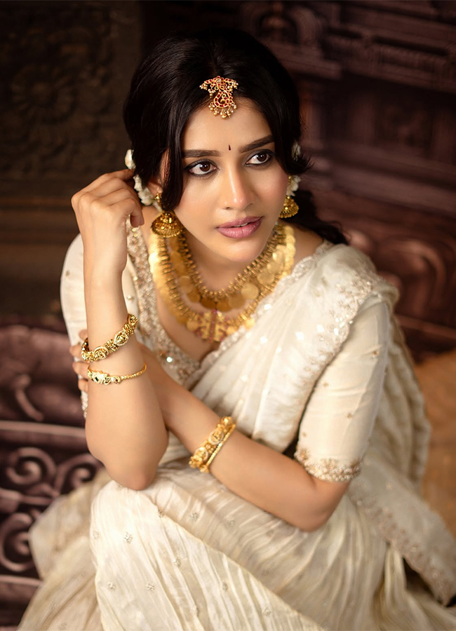 Actress Nabha Natesh New Photos Viral11