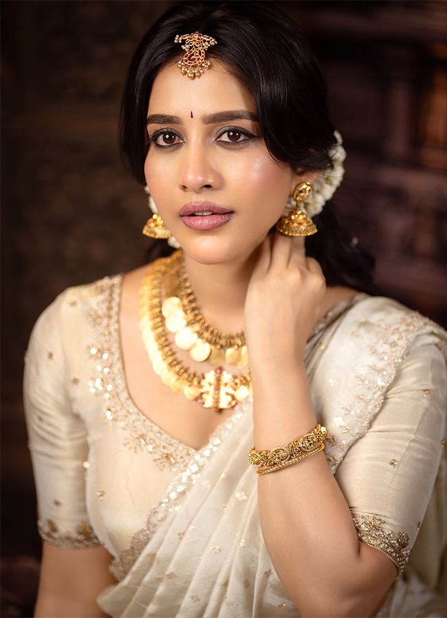 Actress Nabha Natesh New Photos Viral12