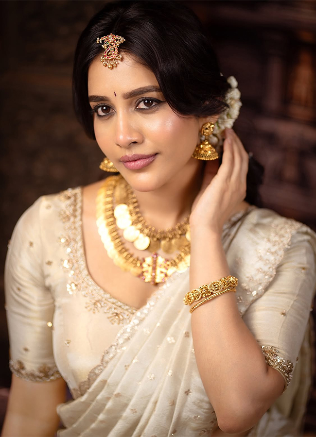 Actress Nabha Natesh New Photos Viral2