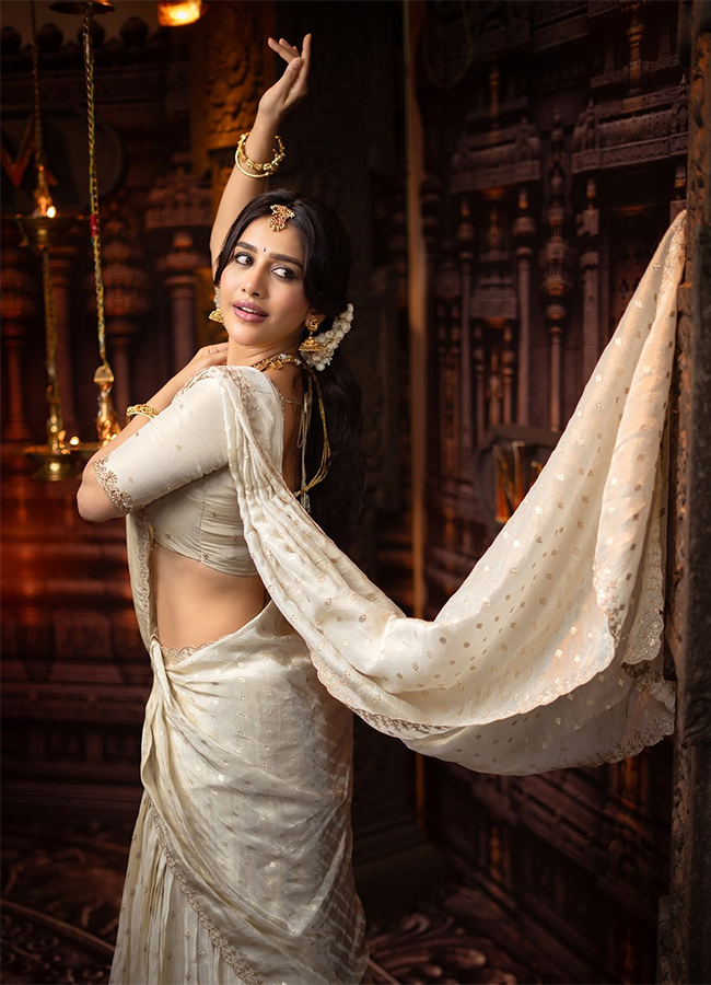 Actress Nabha Natesh New Photos Viral3