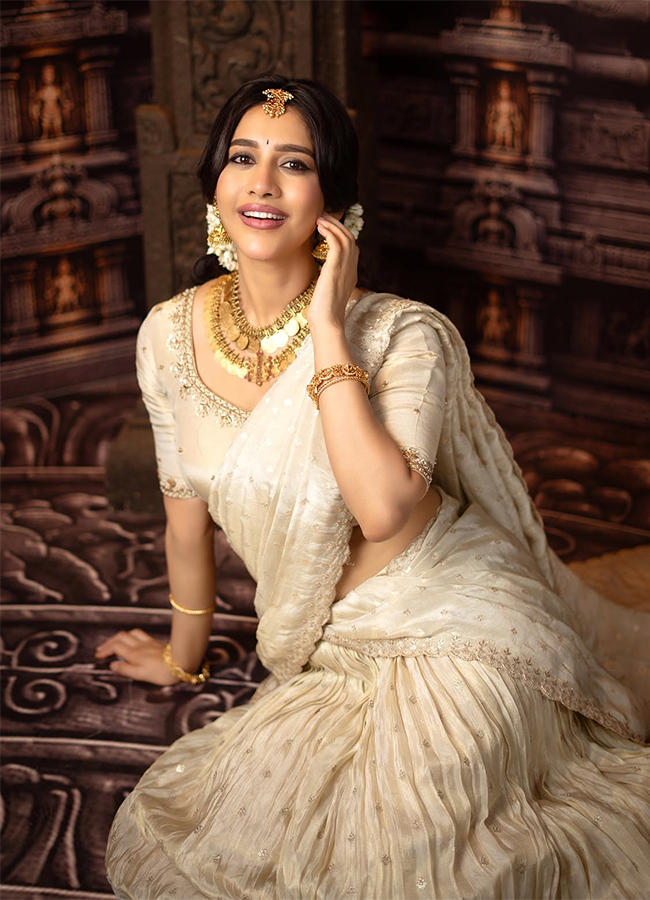Actress Nabha Natesh New Photos Viral4