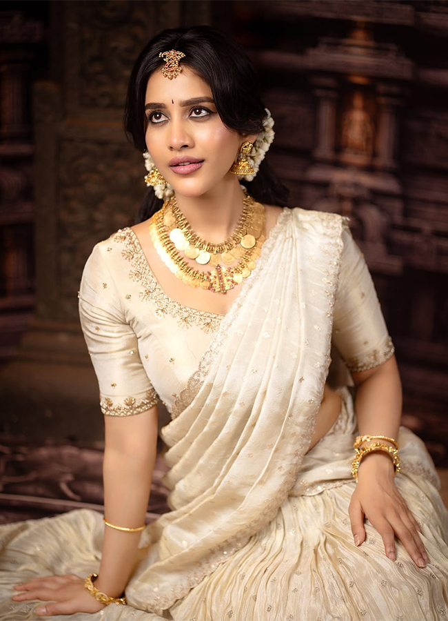 Actress Nabha Natesh New Photos Viral6