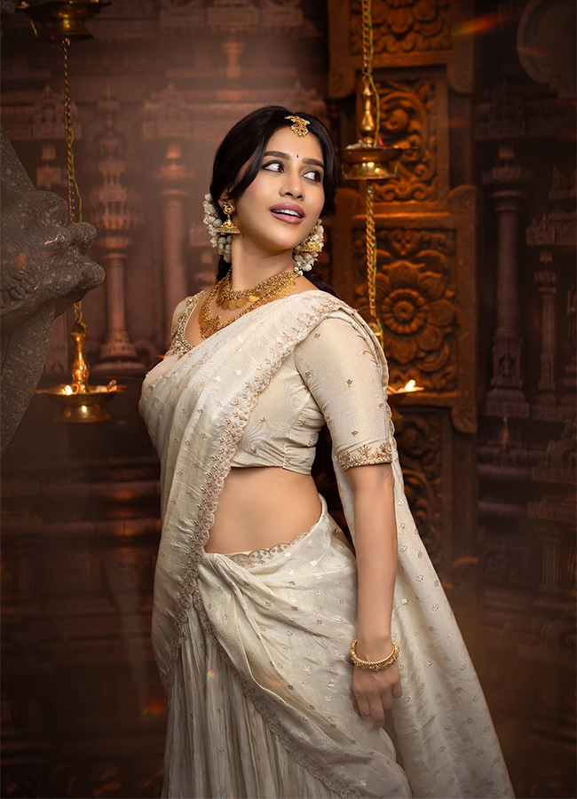Actress Nabha Natesh New Photos Viral7