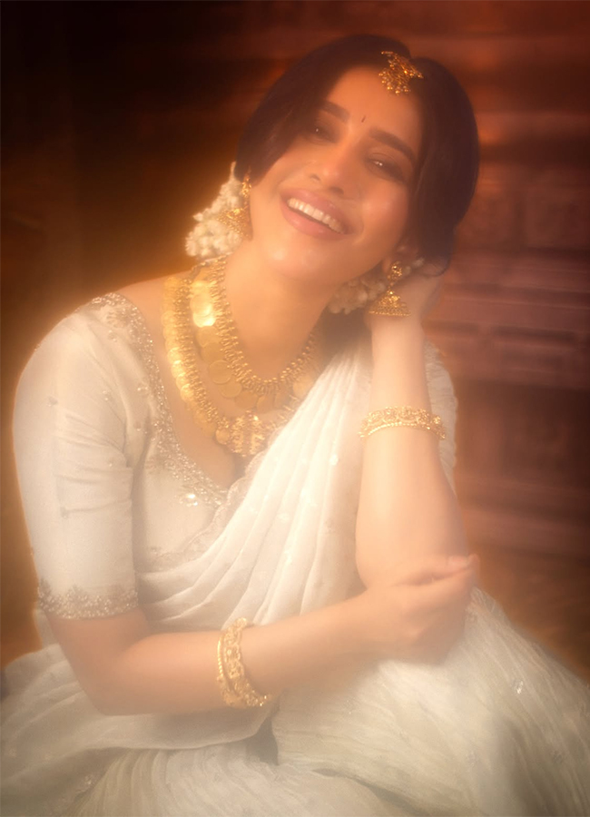Actress Nabha Natesh New Photos Viral9