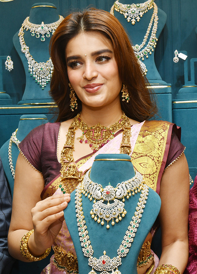 Actress Nidhhi Agerwal at Nellore Viral Photos24