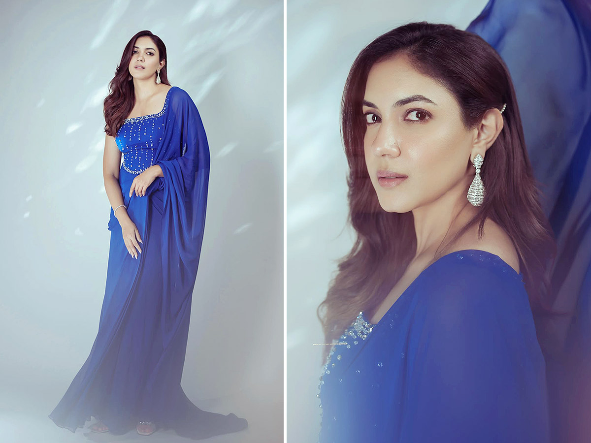 Ritu Varma Looks Stunning in a Traditional Saree Photos1