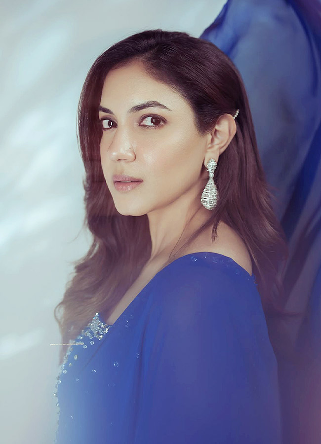 Ritu Varma Looks Stunning in a Traditional Saree Photos8
