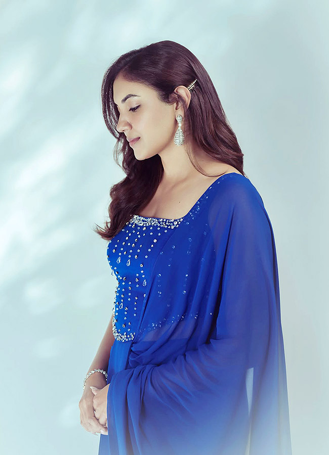 Ritu Varma Looks Stunning in a Traditional Saree Photos9