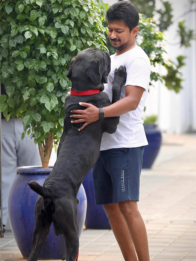 Udhayanidhi Stalin Arrest News: Rare Family Photos With Wife Kiruthiga and Kids Go Viral4