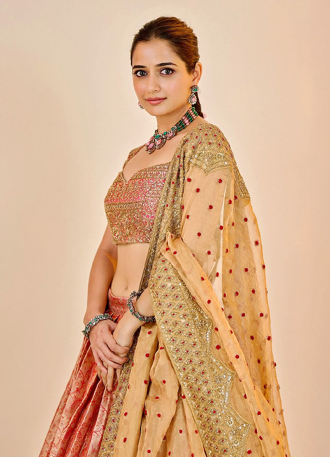 Beautiful Ashika Ranganath Birthday Special Photos10