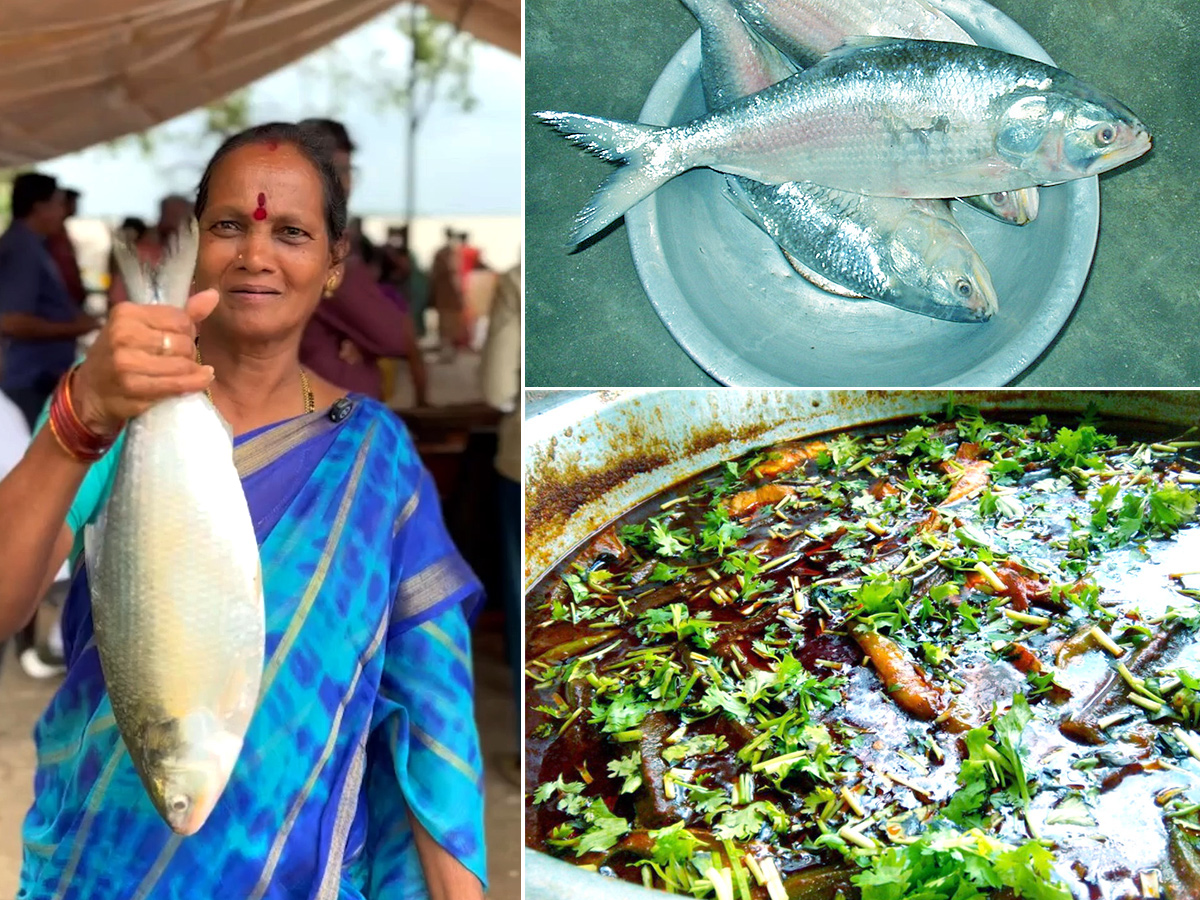 pulasa fish curry 2026 hd photos1