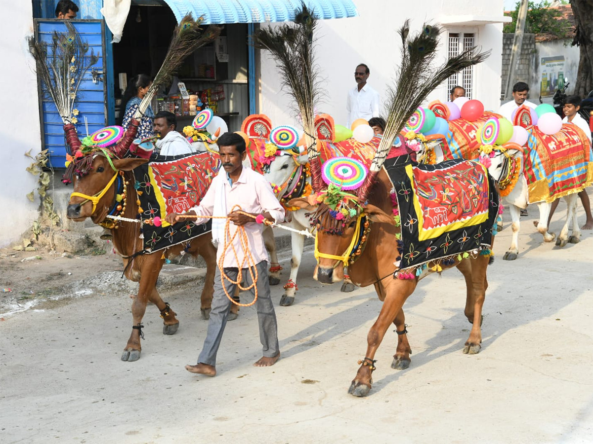 Adilabad District  : Polala Amavasya 2026 Celebrations Photos10