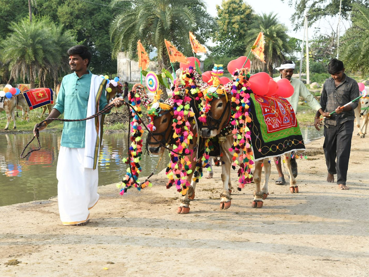 Adilabad District  : Polala Amavasya 2026 Celebrations Photos9