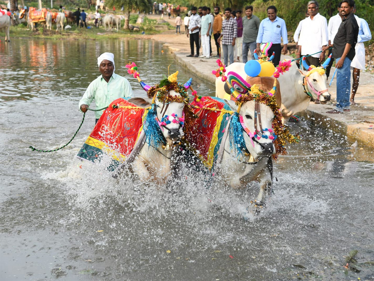 Adilabad District  : Polala Amavasya 2026 Celebrations Photos8