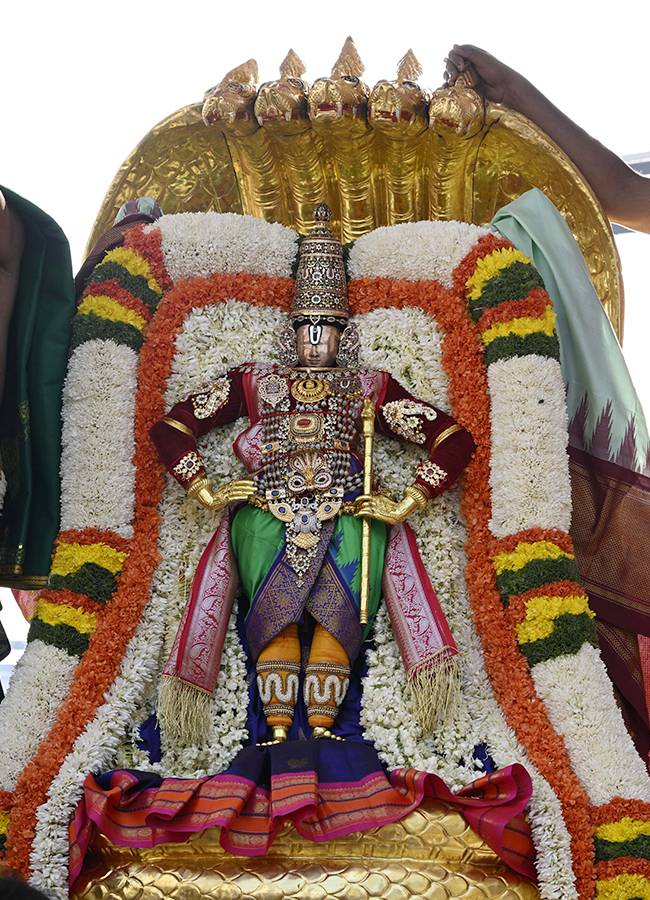 Tirumala Sri Vari Salakatla Brahmotsavam 202614