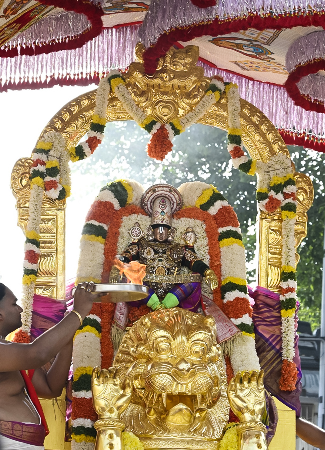 Tirumala Sri Vari Salakatla Brahmotsavam 202616