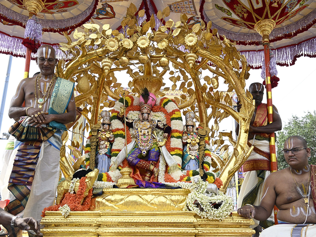Kalpavruksha Vahana Seva : Tirumala Srivari Salakatla Brahmotsavams1